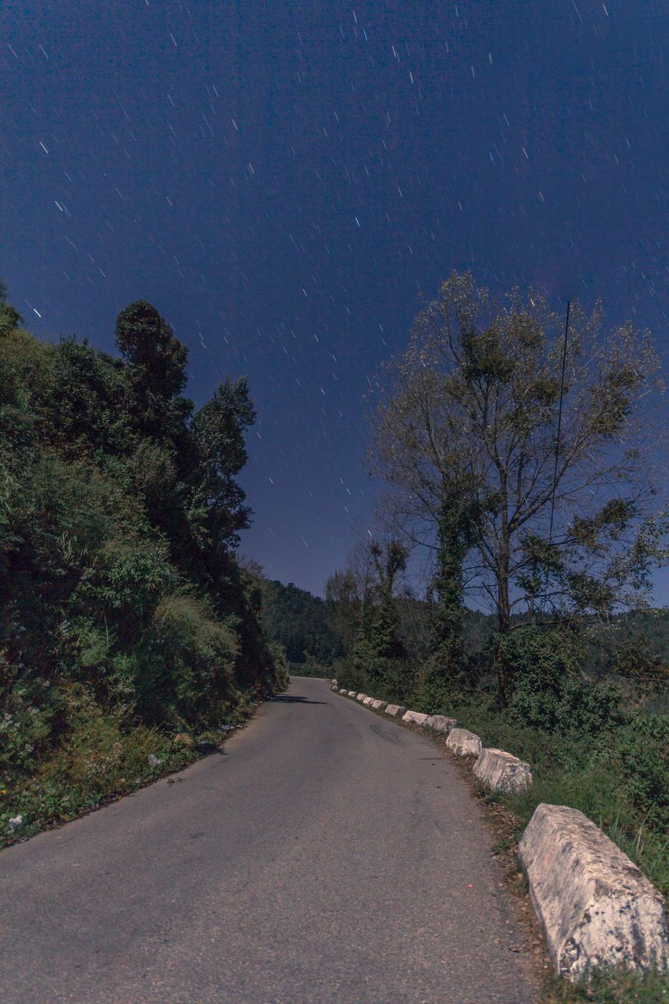 Photo of A Bagpacker's Story about the Majestic Dhanaulti 4/6 by Ash Kapoor
