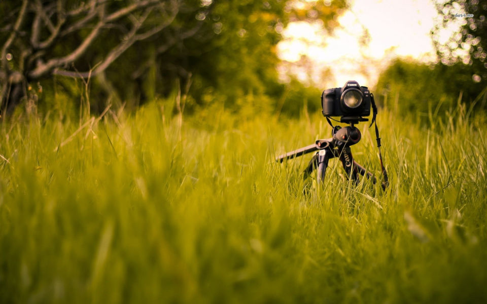 Photo of Backpacking your Road Trip… 4/5 by All About Travel And Food