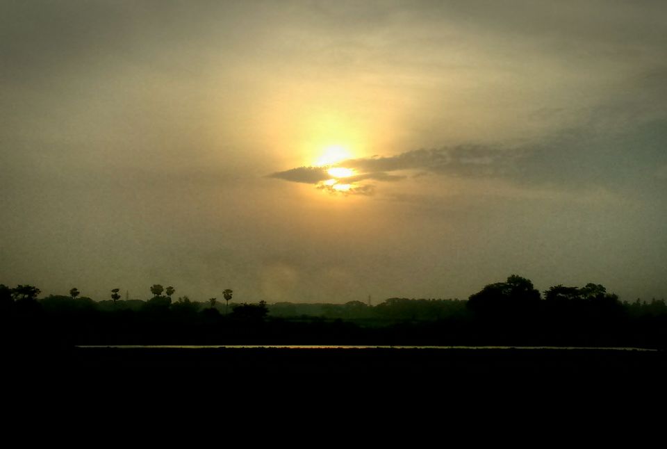 Photo of The Story Boards from Puri, Odisha 1/8 by Dipanjan Mukherjee
