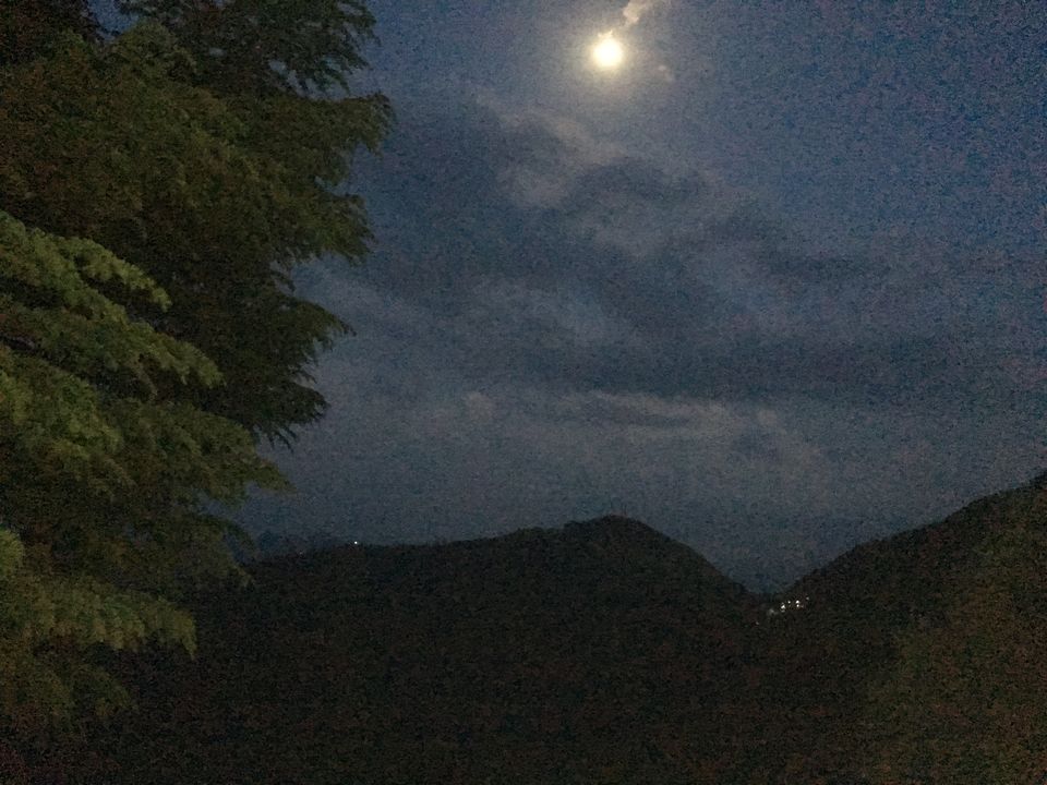 Photo of An unexpected love story called Khajjiar 1/6 by Pallavi Verma