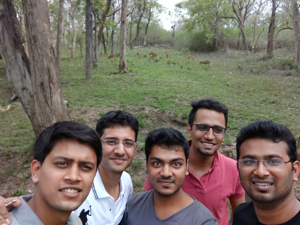 Photo of Amazing drive to Ooty through Bandipur forest 1/8 by Priyank Aggarwal