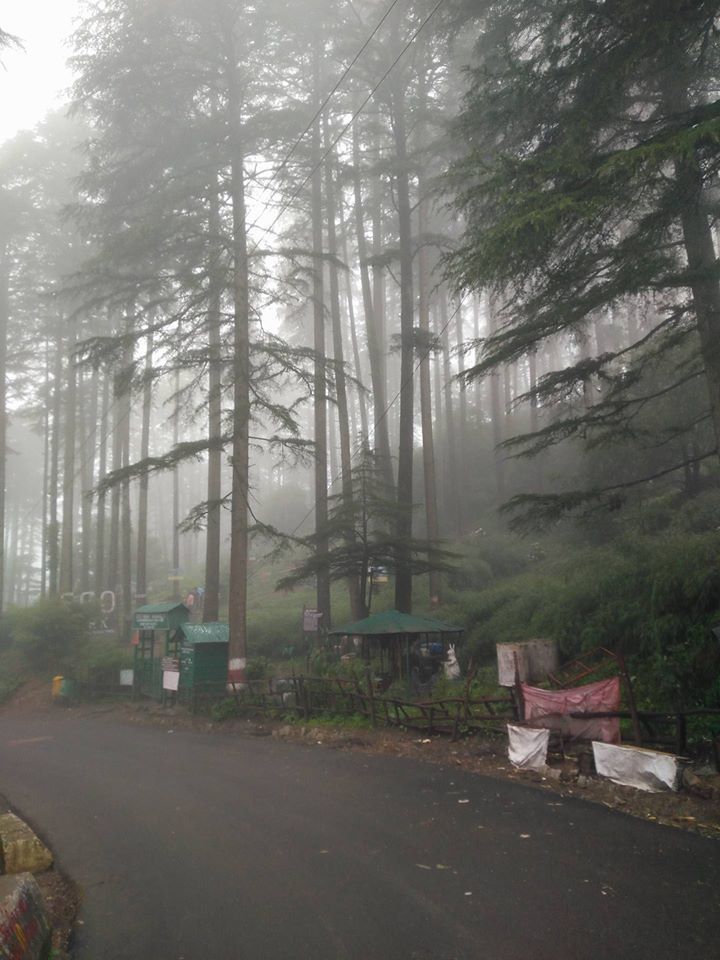 Photo of कम पैसों में घूमने के लिए बेस्ट है ये आकर्षित हिल स्टेशन 2/11 by Swati Rathore