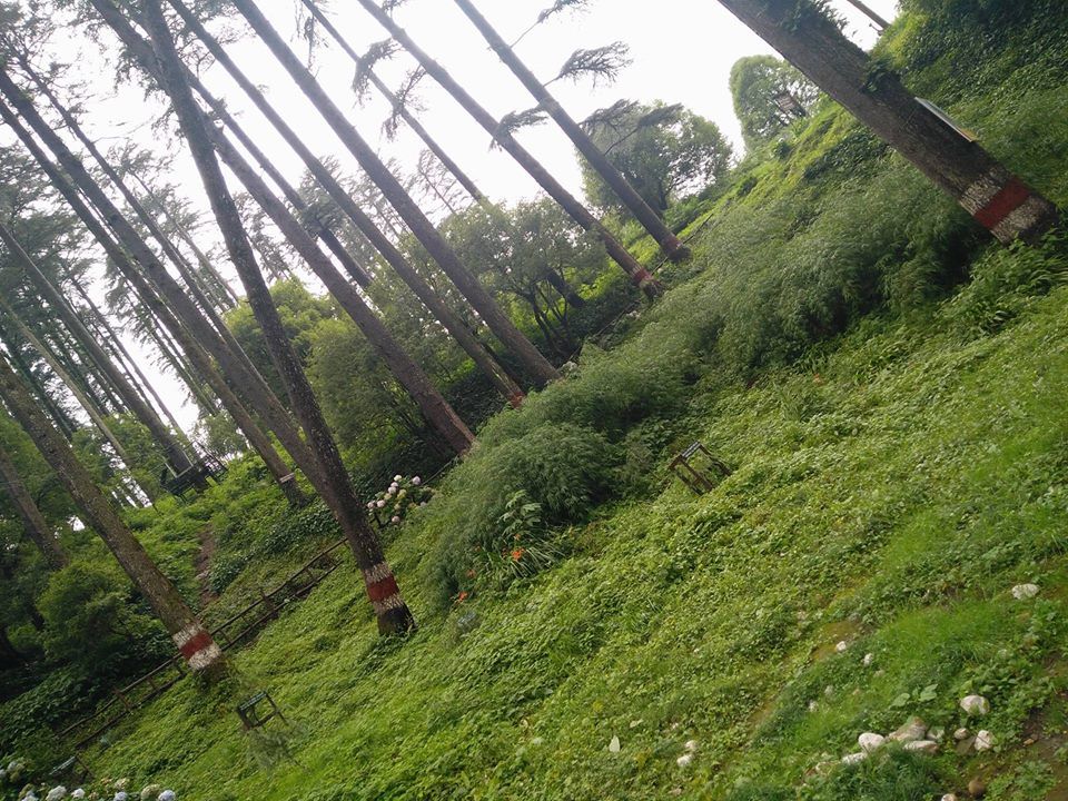 Photo of कम पैसों में घूमने के लिए बेस्ट है ये आकर्षित हिल स्टेशन 8/11 by Swati Rathore