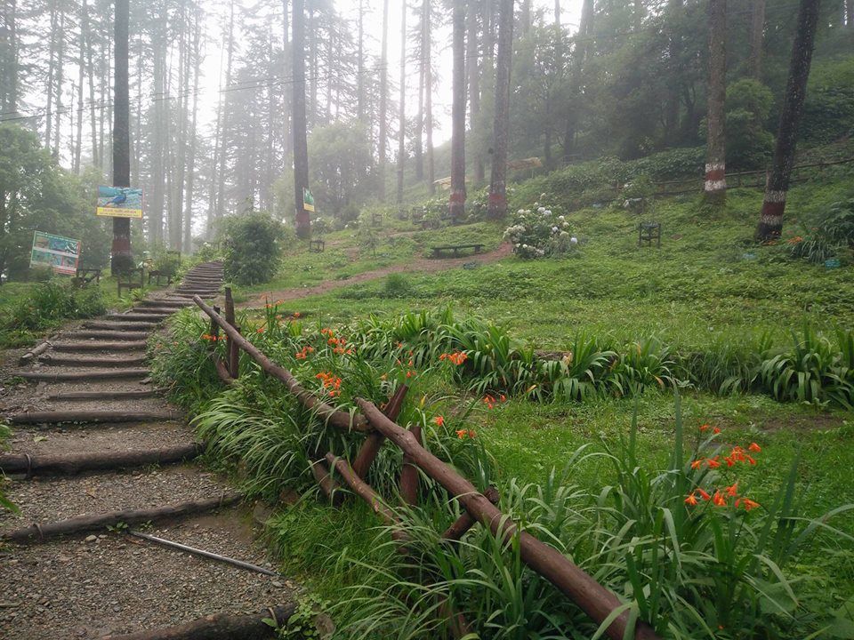 Photo of कम पैसों में घूमने के लिए बेस्ट है ये आकर्षित हिल स्टेशन 9/11 by Swati Rathore
