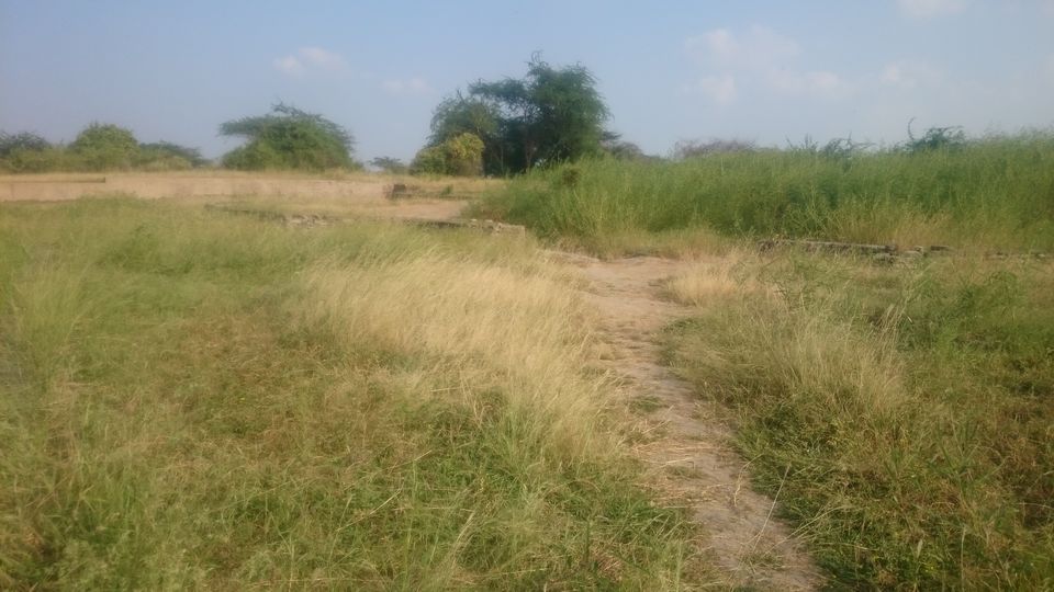 Photo of 2 > 4, traveling alone through Western India: Day 3, Lothal: the first city with a dockyard in India by Kishore Singh Fartiyal