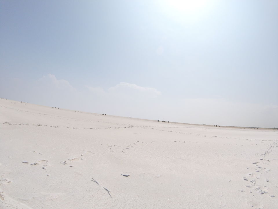 Photo of 2 > 4, traveling alone through Western India: Day 4, Dholavira: Ruins of the lost civilization by Kishore Singh Fartiyal