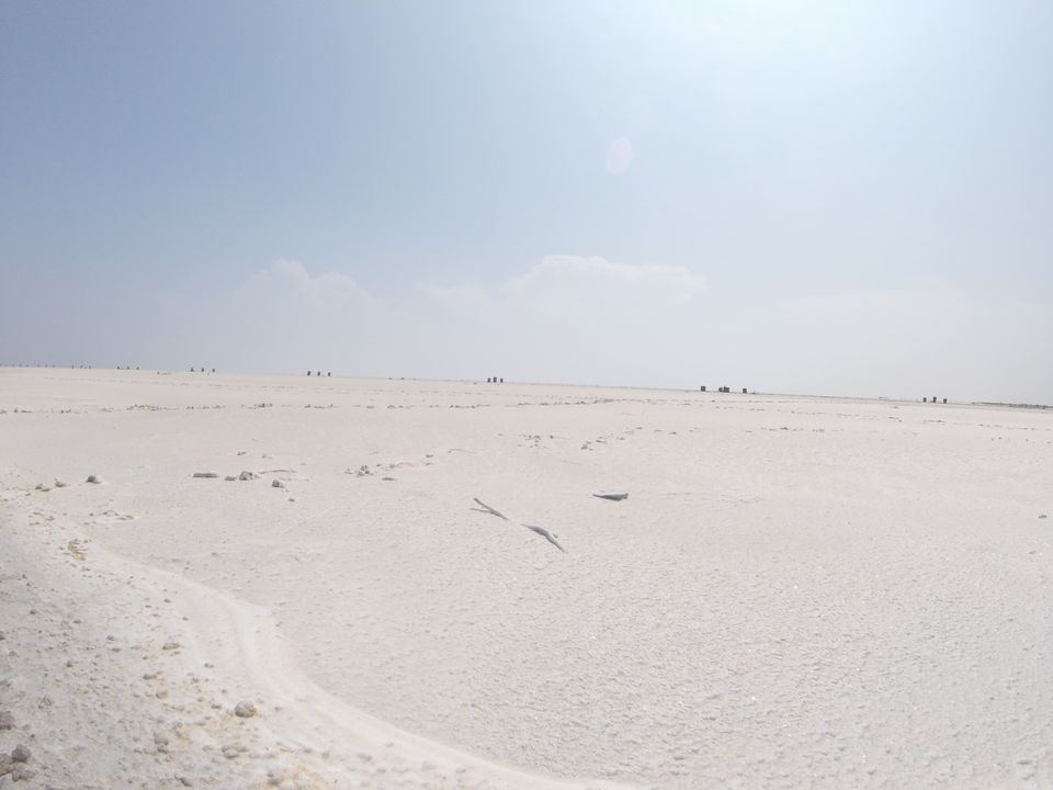 Photo of 2 > 4, traveling alone through Western India: Day 4, Dholavira: Ruins of the lost civilization by Kishore Singh Fartiyal