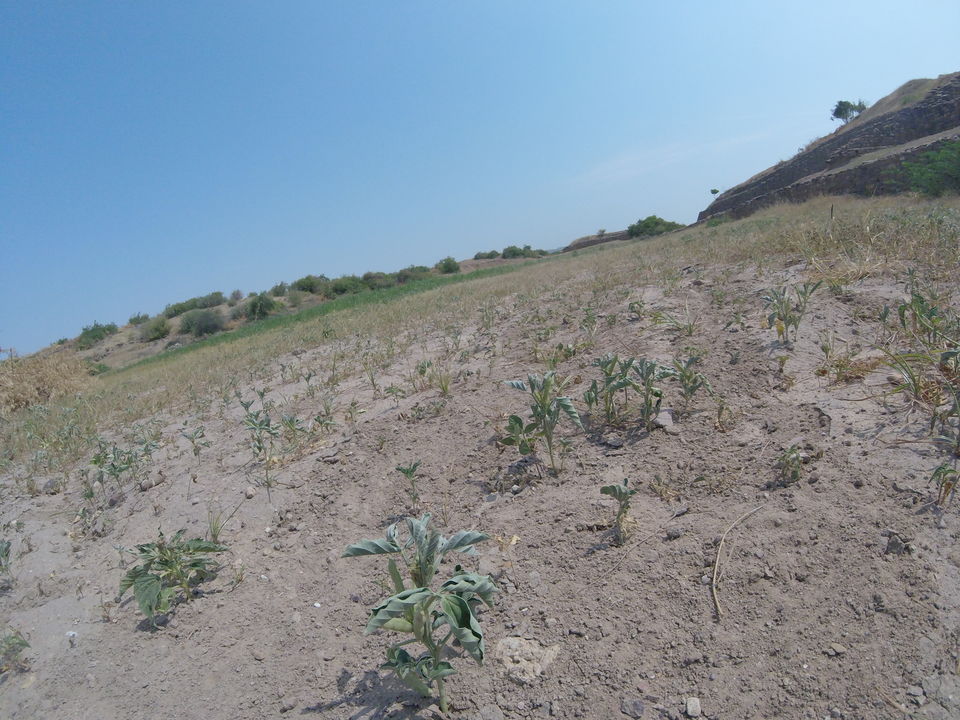 Photo of 2 > 4, traveling alone through Western India: Day 4, Dholavira: Ruins of the lost civilization by Kishore Singh Fartiyal