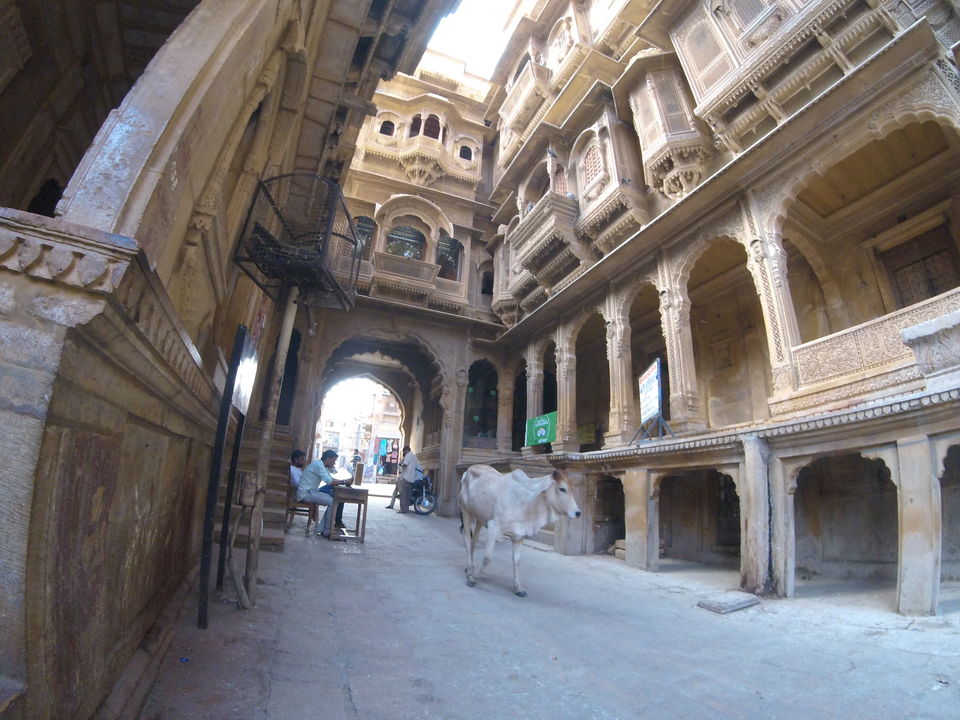 Photo of 2 > 4, traveling alone through Western India: Day 5, Jaisalmer: Golden city of India by Kishore Singh Fartiyal