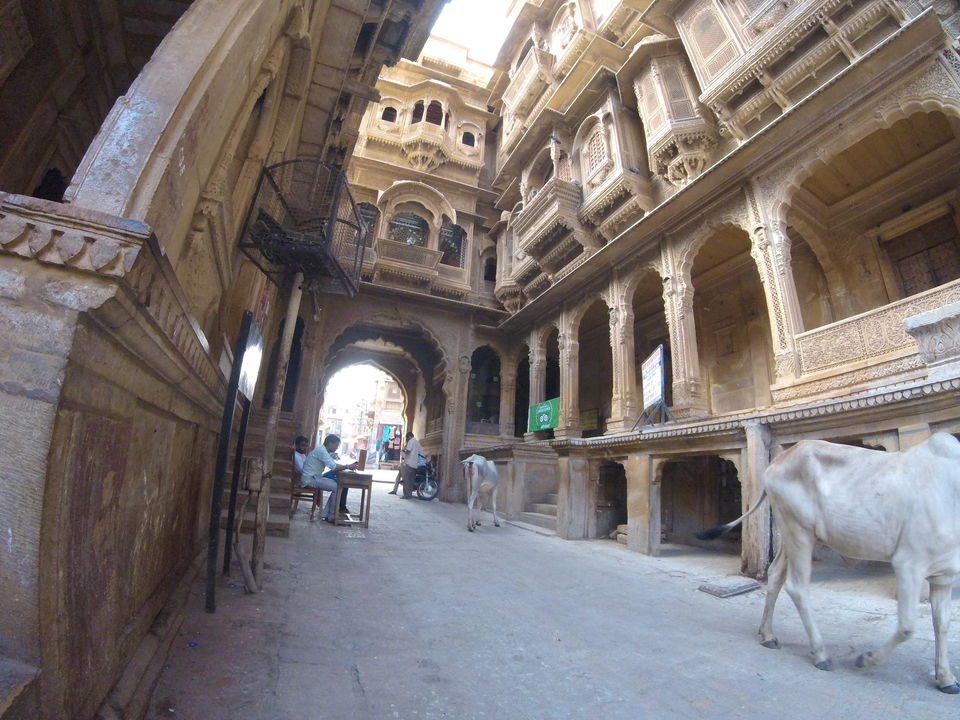 Photo of 2 > 4, traveling alone through Western India: Day 5, Jaisalmer: Golden city of India by Kishore Singh Fartiyal