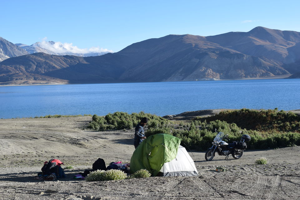 Photo of Camping at Pangong lake where the morning makes you feel you're in another world 12/17 by Kishore Singh Fartiyal