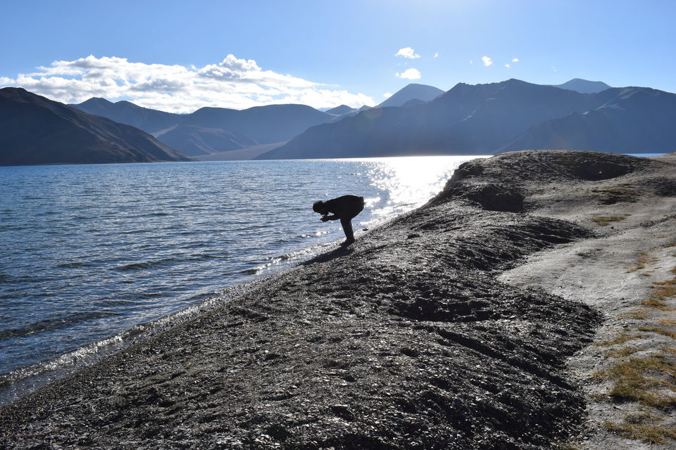 Photo of Camping at Pangong lake where the morning makes you feel you're in another world 13/17 by Kishore Singh Fartiyal