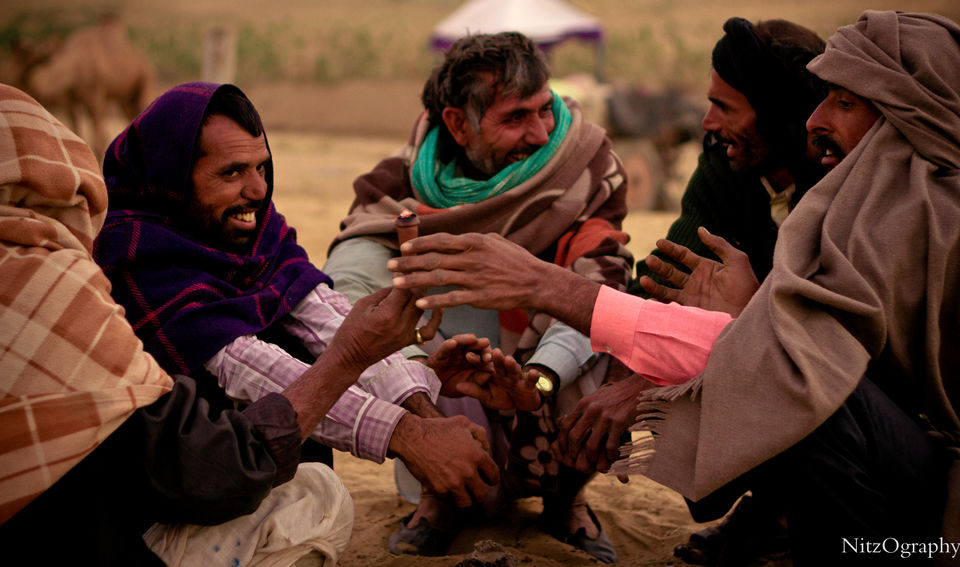 Photo of Pushkar – Calm your senses 8/63 by Nitesh Menghani