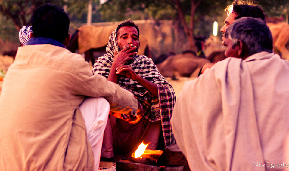 Photo of Pushkar – Calm your senses 10/63 by Nitesh Menghani