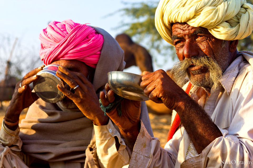 Photo of Pushkar – Calm your senses 32/63 by Nitesh Menghani