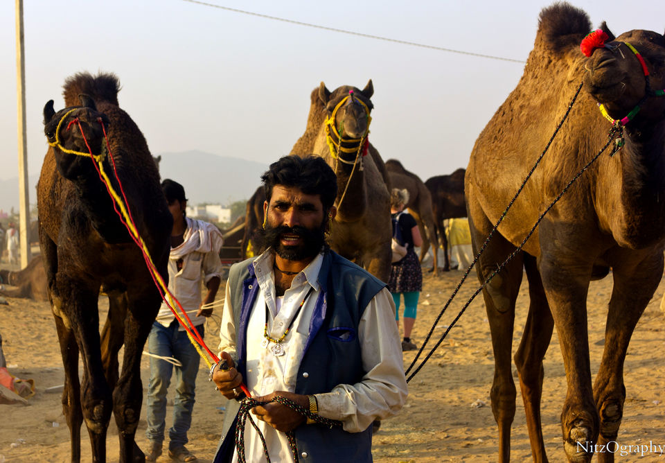 Photo of Pushkar – Calm your senses 51/63 by Nitesh Menghani