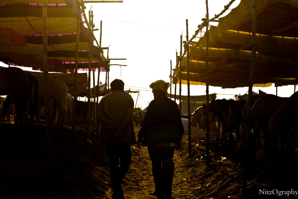 Photo of Pushkar – Calm your senses 54/63 by Nitesh Menghani