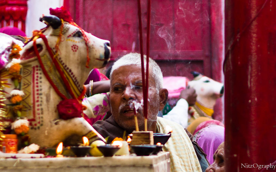 Photo of Pushkar – Calm your senses 58/63 by Nitesh Menghani