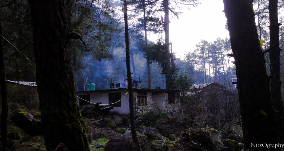 Photo of Kasol - In affair with hash 21/110 by Nitesh Menghani