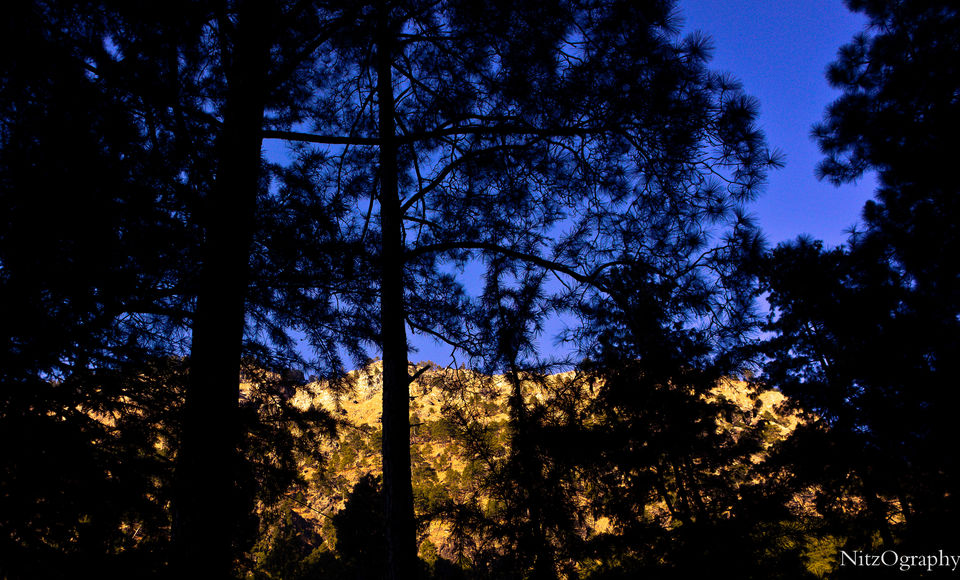 Photo of Kasol - In affair with hash 24/110 by Nitesh Menghani