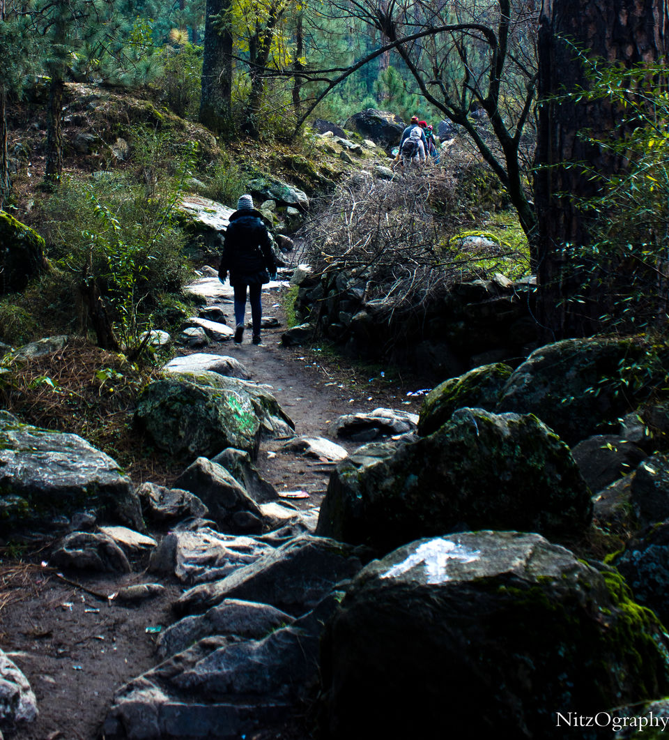Photo of Kasol - In affair with hash 27/110 by Nitesh Menghani