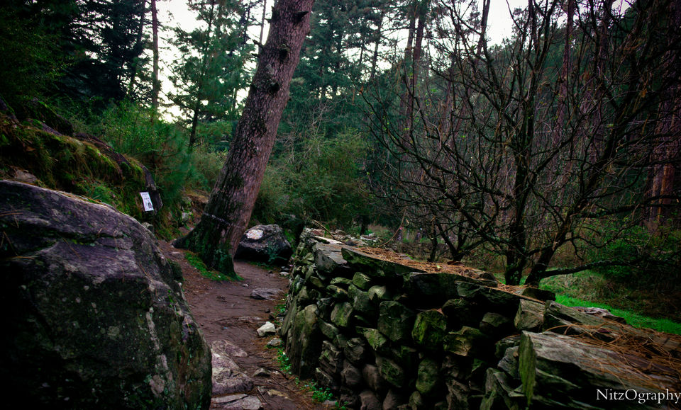 Photo of Kasol - In affair with hash 28/110 by Nitesh Menghani