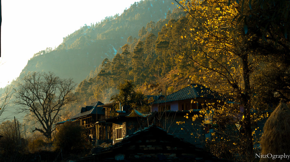 Photo of Kasol - In affair with hash 32/110 by Nitesh Menghani