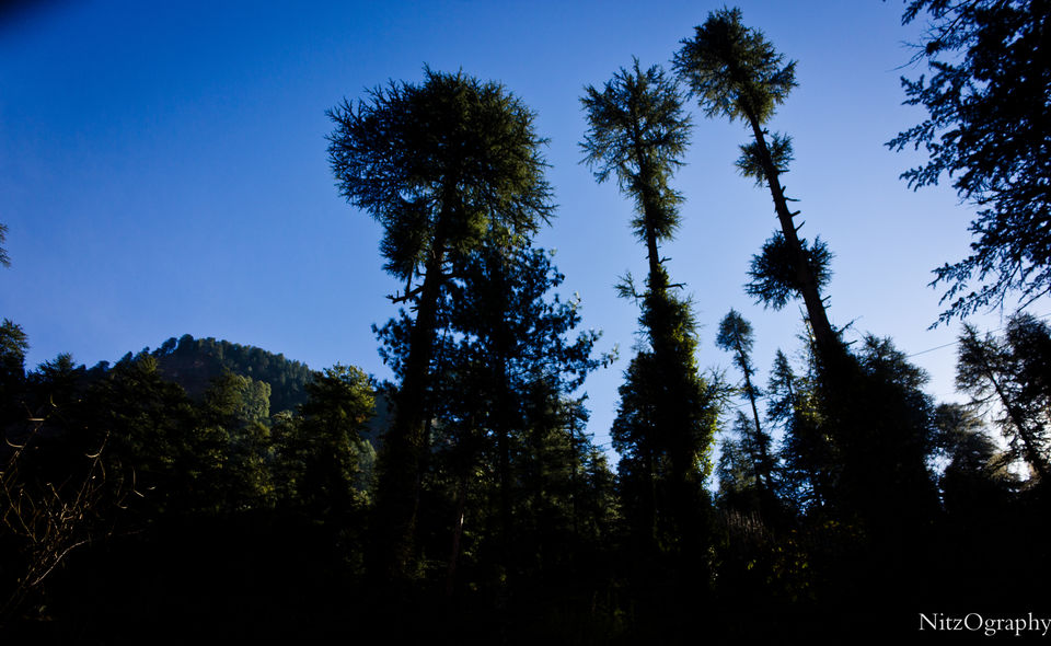 Photo of Kasol - In affair with hash 60/110 by Nitesh Menghani