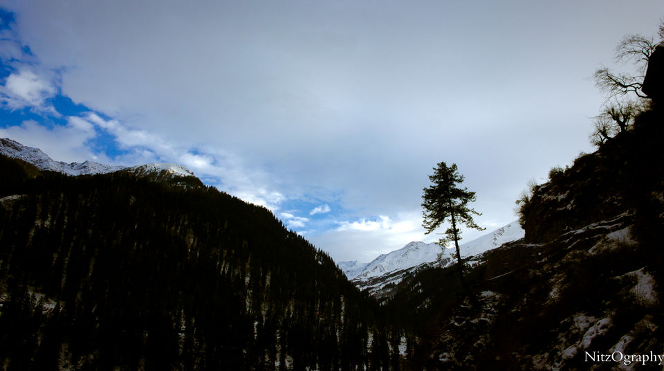 Photo of Kasol - In affair with hash 80/110 by Nitesh Menghani