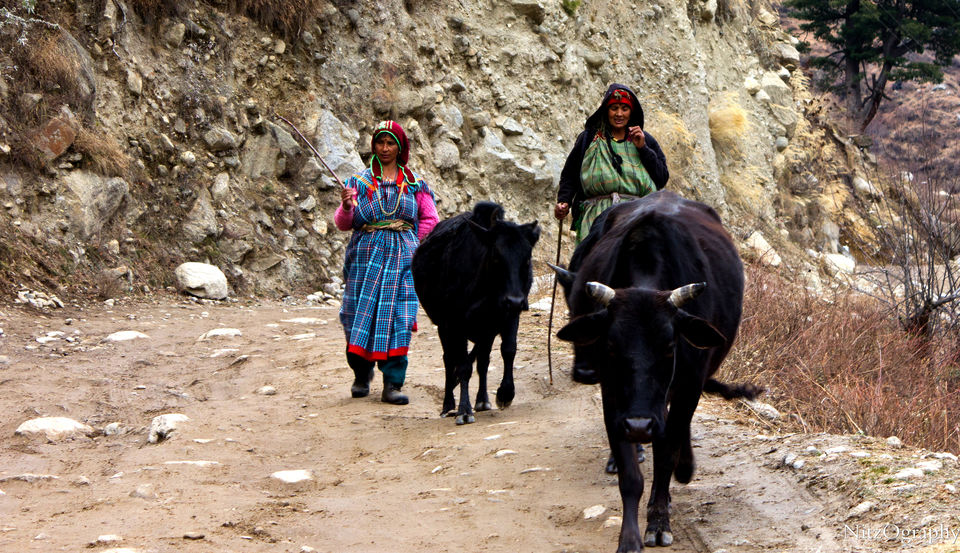 Photo of Kasol - In affair with hash 81/110 by Nitesh Menghani