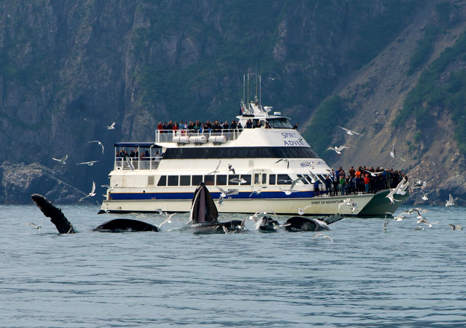 Photo of Alaska Expedition - 21st Aug to 3rd Sep 2016 3/10 by Adventures Overland