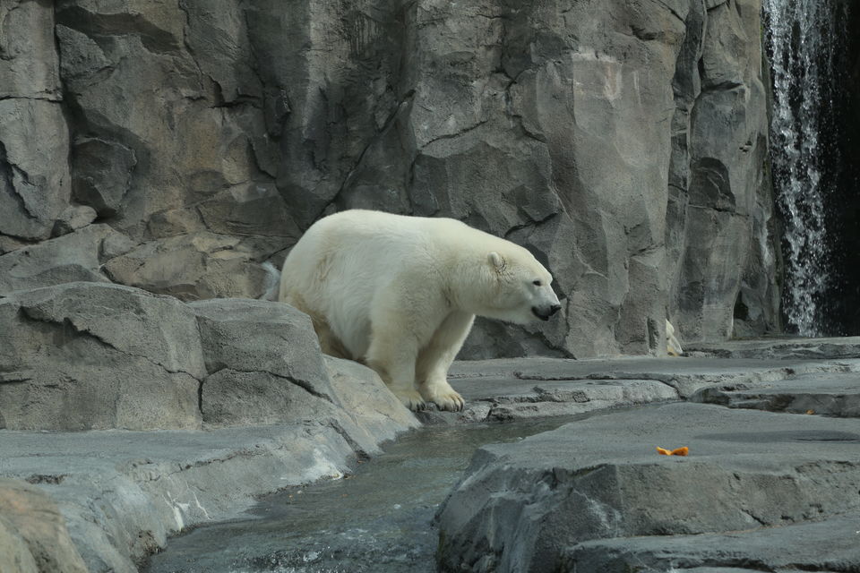 Photo of Alaska Expedition - 21st Aug to 3rd Sep 2016 9/10 by Adventures Overland