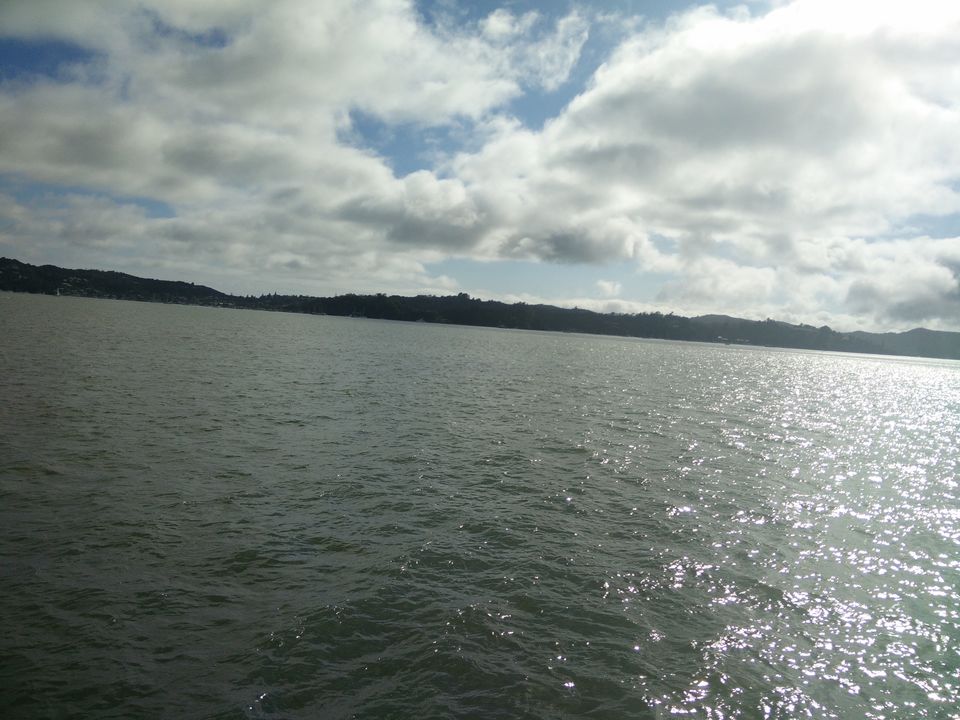 Photo of Paihia - The jewel of the Bay of Islands 6/38 by Meenakshi Sharma