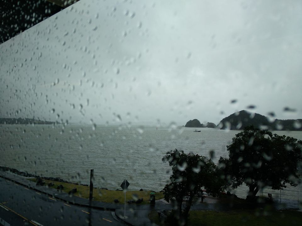 Photo of Paihia - The jewel of the Bay of Islands 8/38 by Meenakshi Sharma