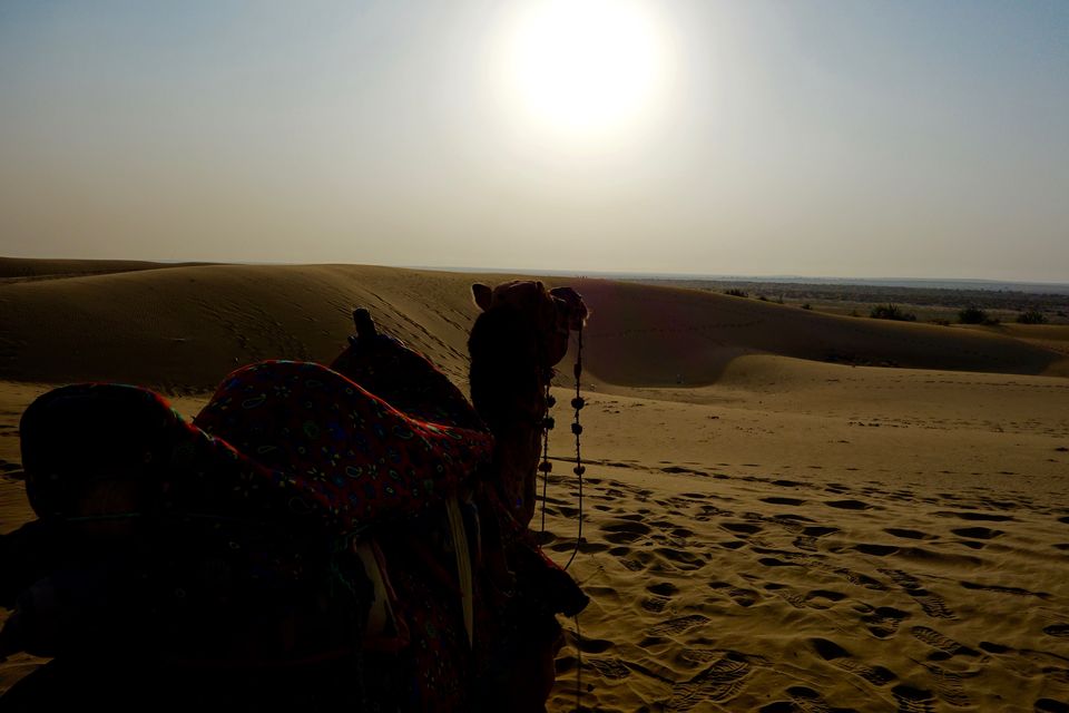 Photo of Of Unending Gold and Scintillating Smiles: A Rendezvous with Jaisalmer 3/53 by Mariya Darakshan