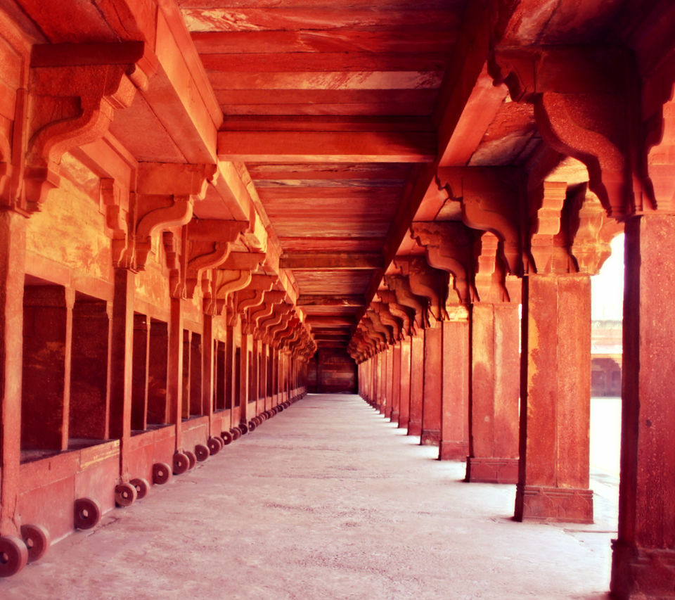 Photo of Agra: Alluring legacy of an empire 10/10 by Avni Shrivastav