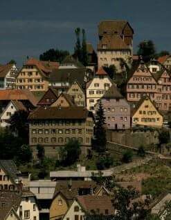 Photo of Evil At the Heart of the Black Forest 2/3 by Kevin Osman