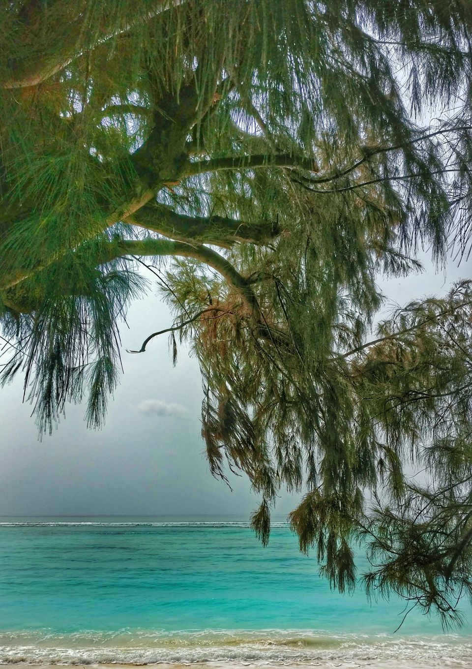 Photo of Dear Indians, Stop Chasing Maldives And Give Lakshadweep A Chance! by Gunjan Upreti