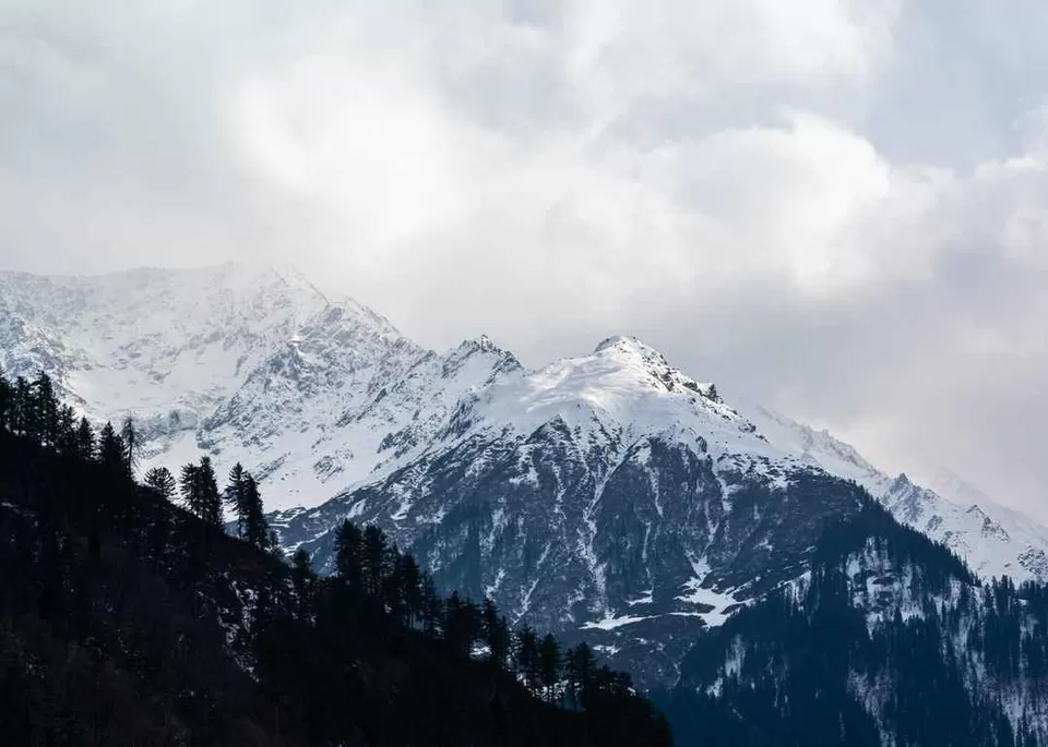 Photo of Tourists Rush To Escape Avalanche In Himachal Pradesh In This Viral Video by Neha Bhise Sadalge