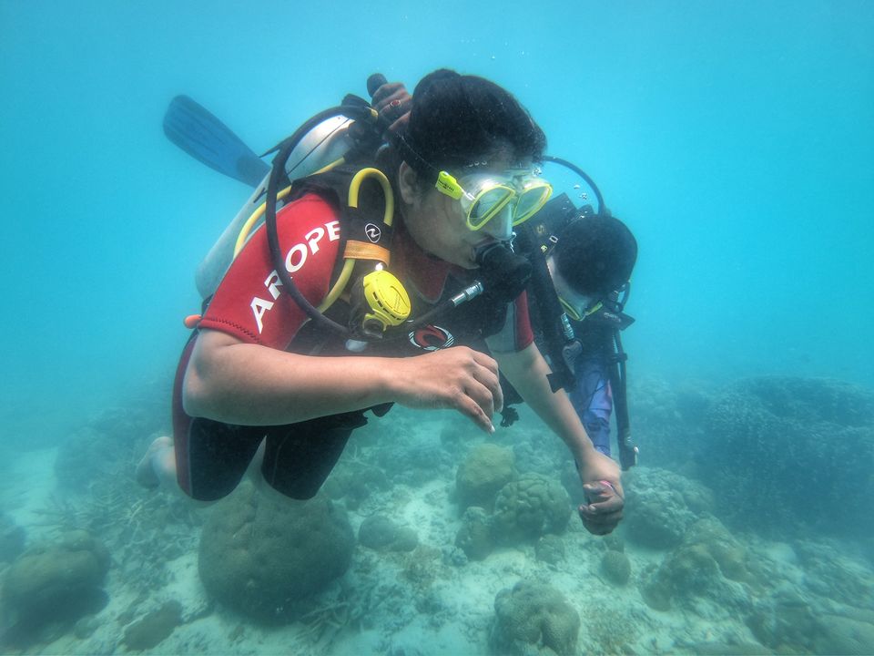 Photo of 5 Extreme Emotions I Felt During My First Scuba Diving Experience 2/3 by Gunjan Upreti
