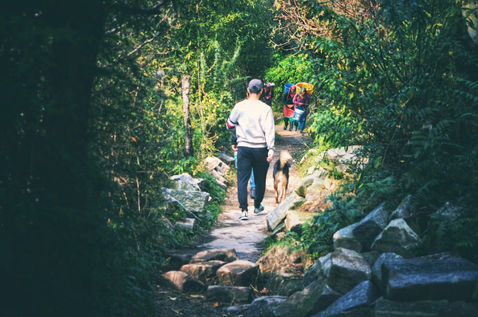 Photo of A trip to Manali on a student's budget 3/9 by Bikramjit Sharma