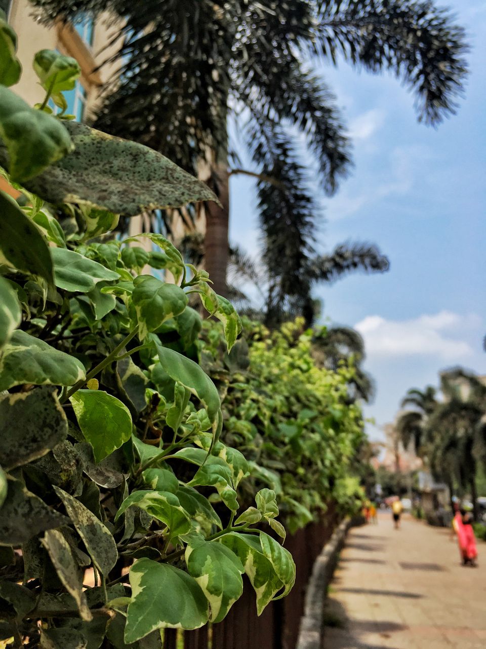 Photo of A Rhapsodical City: Mumbai by Mayankesh Ranjan