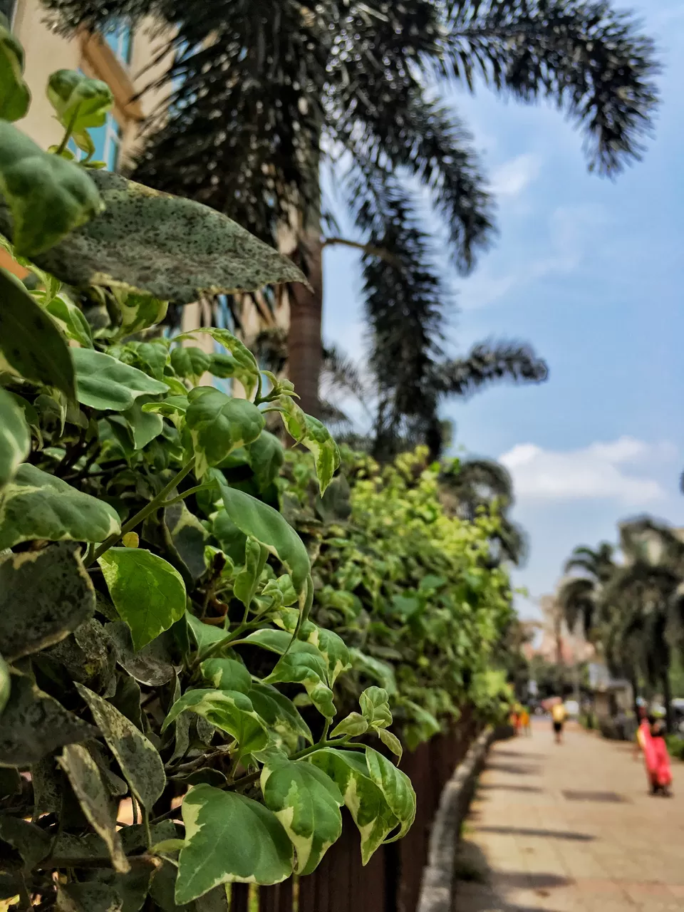 Photo of A Rhapsodical City: Mumbai by Mayankesh Ranjan