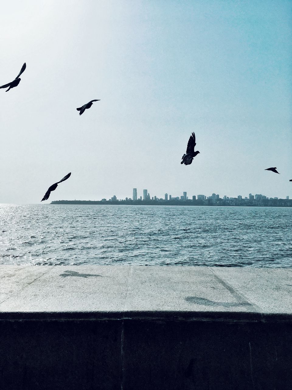 Photo of A Rhapsodical City: Mumbai by Mayankesh Ranjan