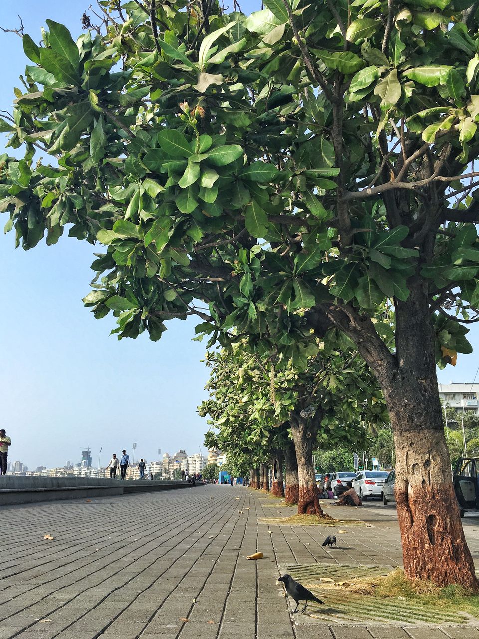Photo of A Rhapsodical City: Mumbai by Mayankesh Ranjan