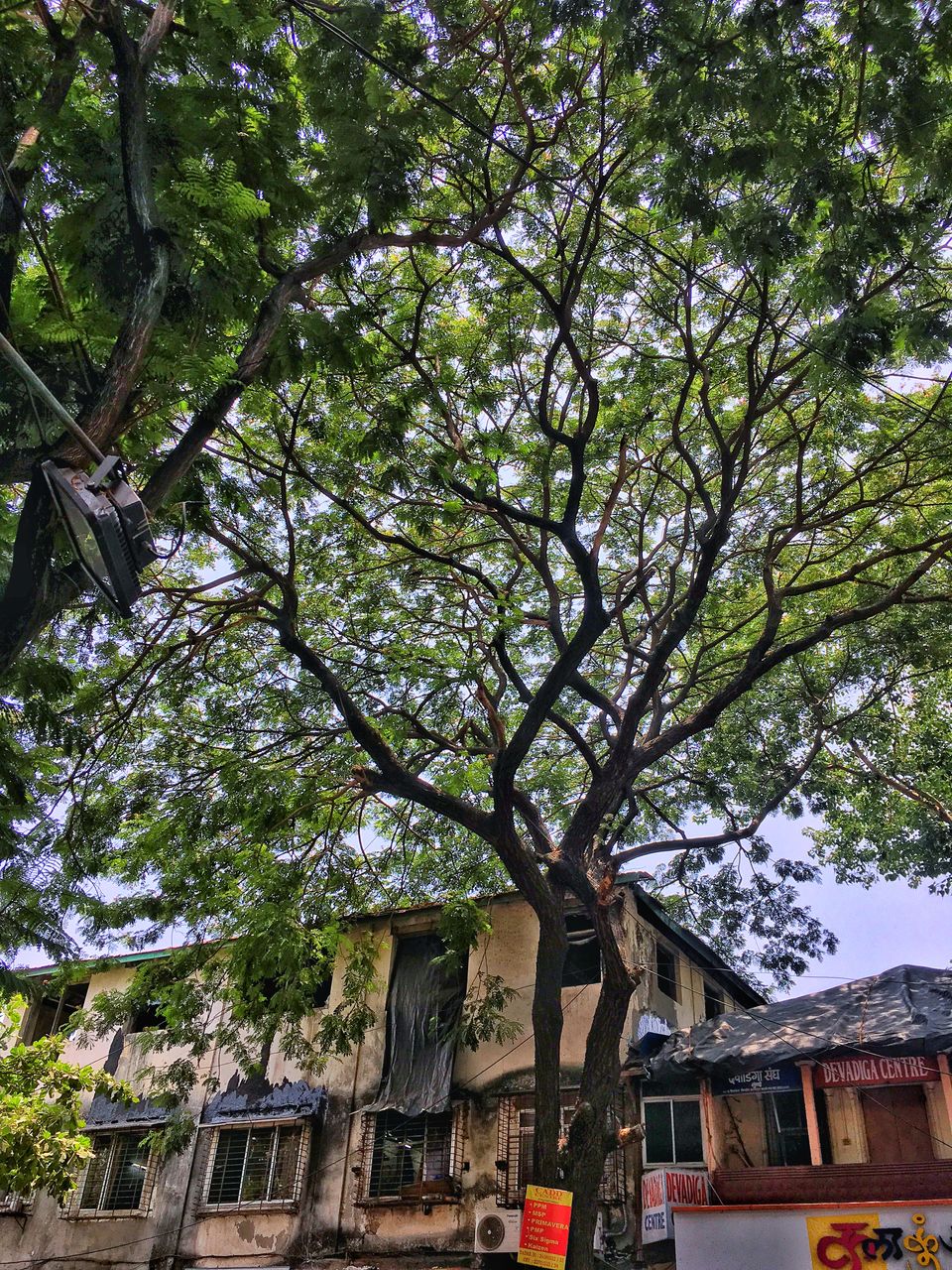 Photo of A Rhapsodical City: Mumbai by Mayankesh Ranjan