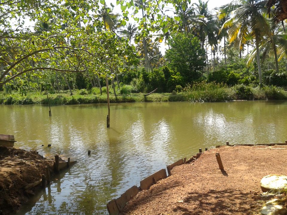 Photo of Land of Creators - SOUTH KERALA by Naman Goyal