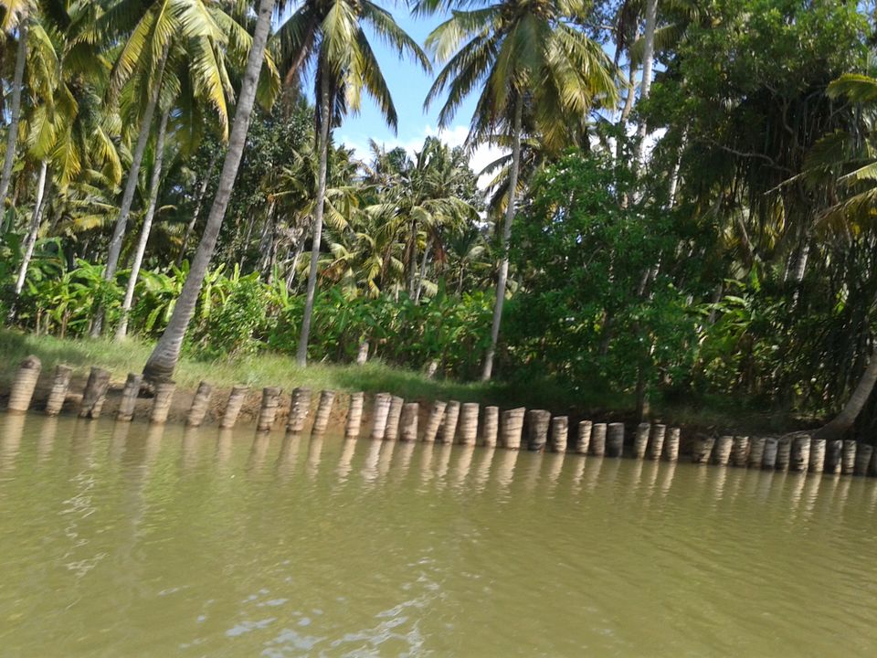 Photo of Land of Creators - SOUTH KERALA by Naman Goyal