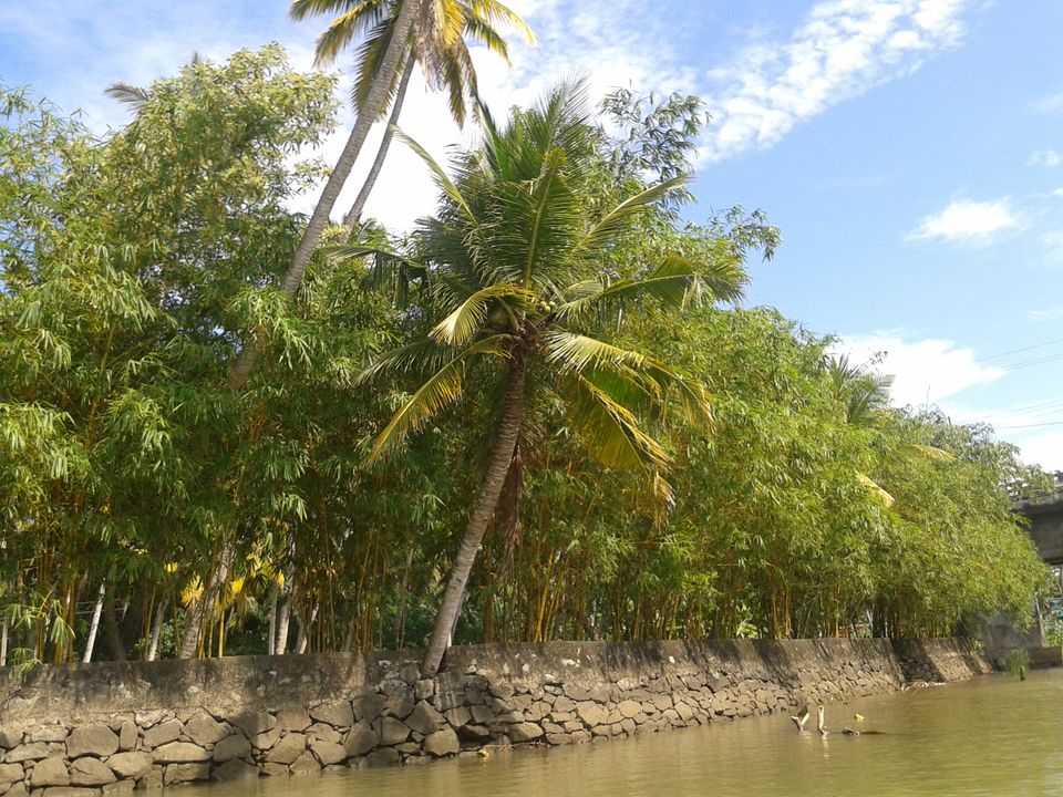 Photo of Land of Creators - SOUTH KERALA by Naman Goyal