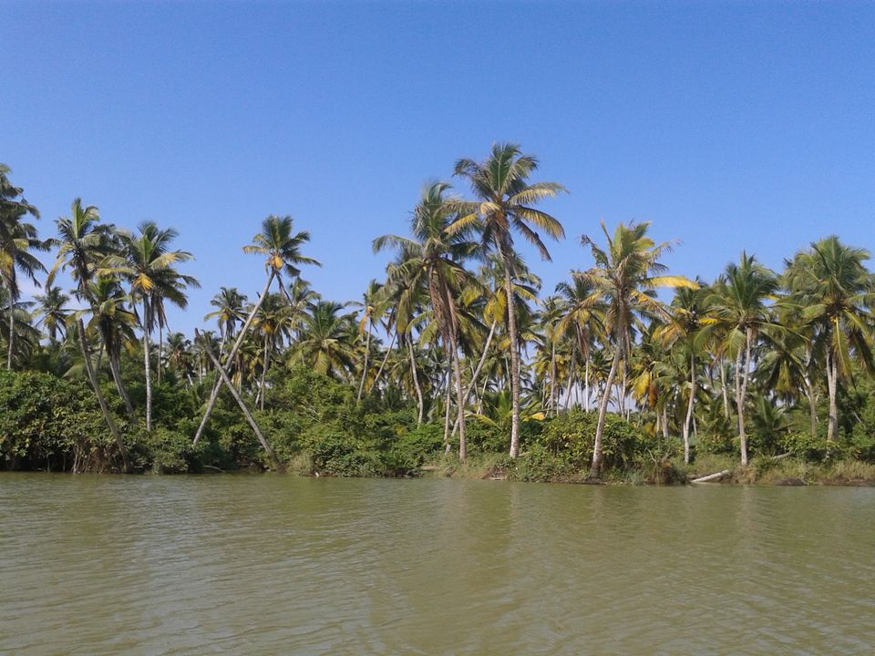 Photo of Land of Creators - SOUTH KERALA by Naman Goyal